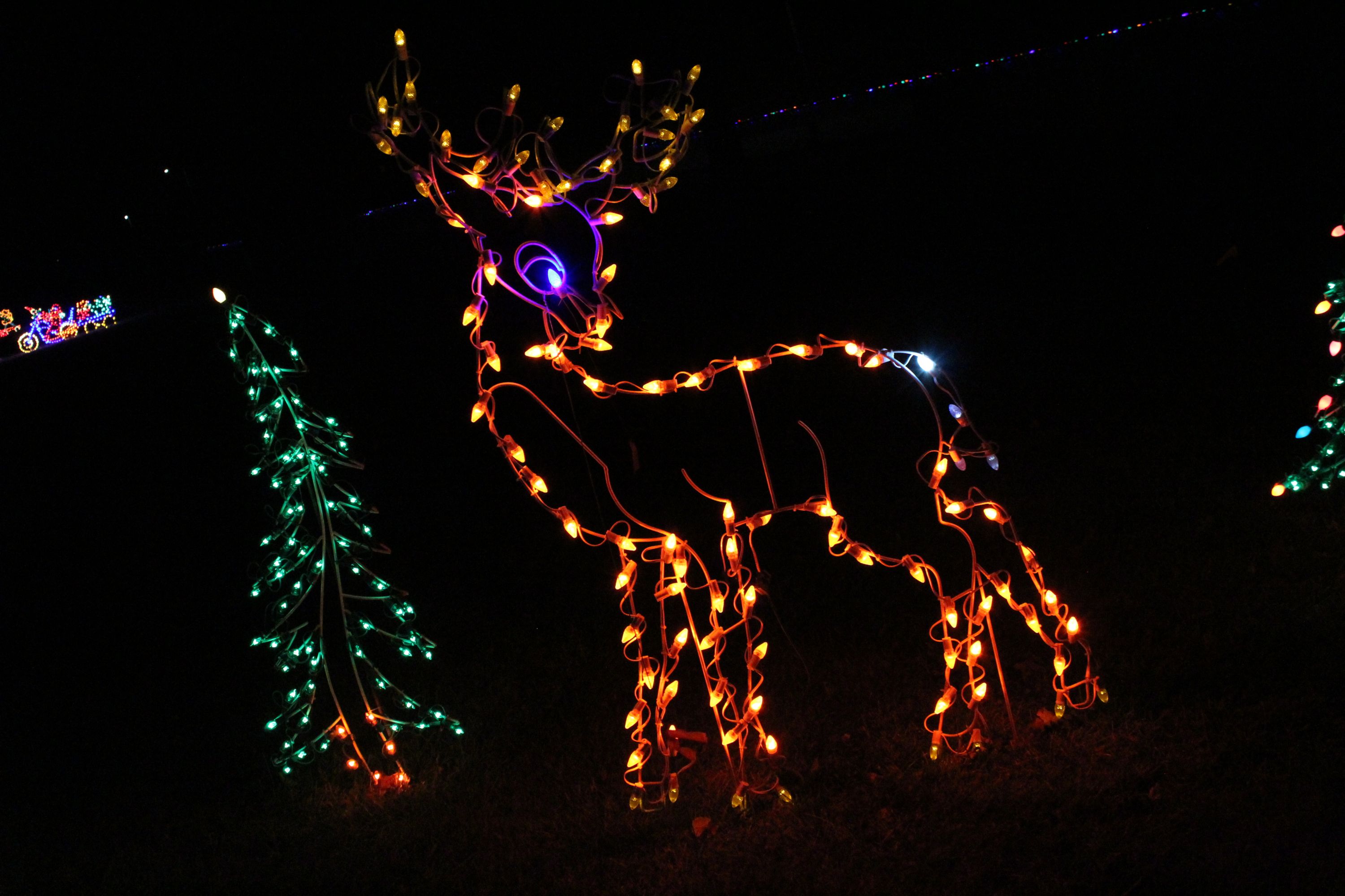 Reindeer Light Display
