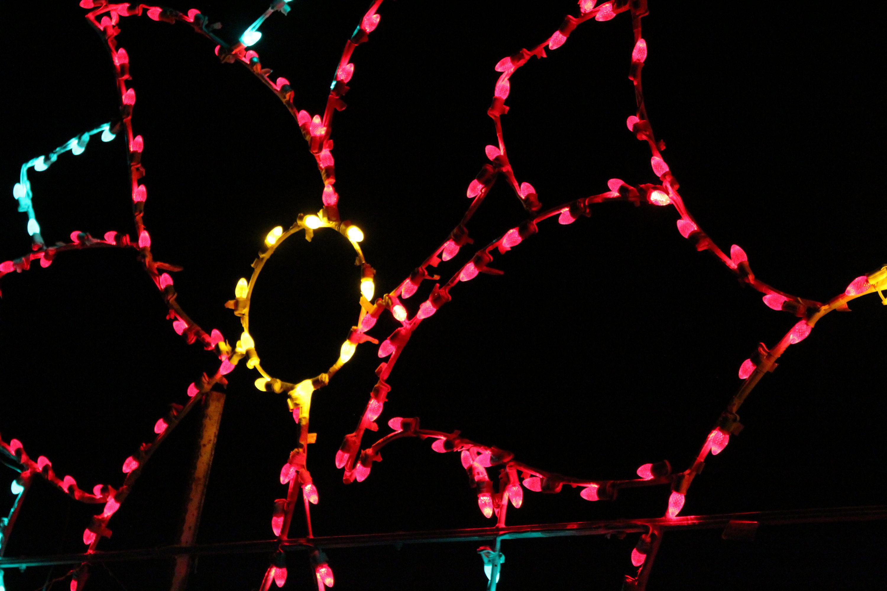 Poinsettia Light